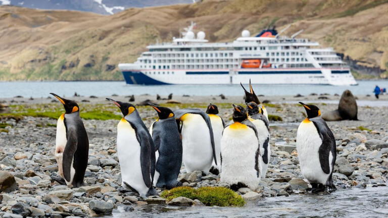 Südgeorgien mit Hapag-Lloyd Cruises